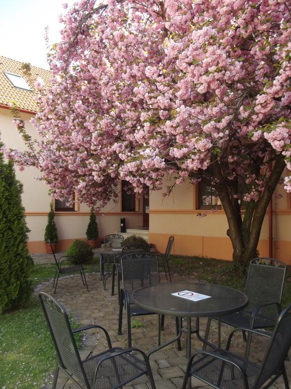 Pannon Hotel Bejelentkezes 20 Oraig, Check-In Until 20 O'Clock, Einchecken Bis 20 Uhr Могач Екстер'єр фото